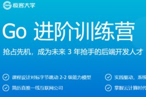 极客大学Go 进阶训练营|完结无密|网盘下载-办公模板库