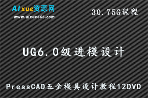 UG6.0级进模设计PressCAD五金模具设计教程12DVD,30.75G课程百度网盘资源打包下载-办公模板库