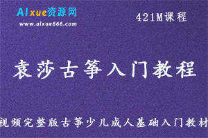 袁莎古筝入门教程视频古筝少儿成人基础入门教材，百度网盘资源下载-办公模板库