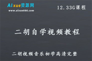 二胡自学视频教程 初学二胡视频音乐入门到提高教学视频，12.33G百度网盘资源打包下载-办公模板库