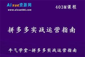 牛气学堂拼多多实战运营教学课程,百度网盘资源打包下载-办公模板库