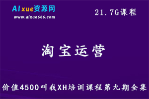 淘宝运营价值4500培训课程全集,21.7G课程百度网盘资源打包下载-办公模板库