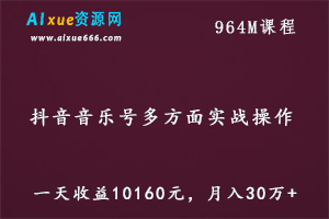 抖音音乐号实战操作教程,某团队内部项目一天收益10160元月入30万+,百度网盘资源打包下载-办公模板库