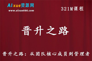 职场晋升之路从团队核心成员到管理者管理教程,百度网盘资源打包下载-办公模板库