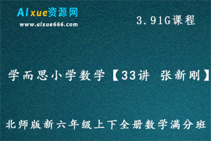 学而思小学数学【33讲 张新刚】北师版新六年级数学教程满分班教材精讲+奥数拓展，3.91G课程百度网盘资源打包下载-办公模板库