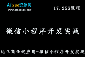 纯正商业级应用程序开发微信小程序开发实战教程，17.25G百度网盘资源打包下载-办公模板库