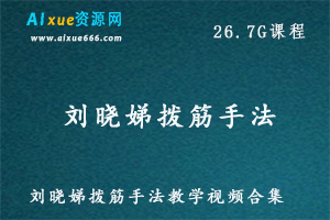 刘晓娣拨筋手法教学视频合集 ，养生之道26.7G课程百度网盘资源打包下载-办公模板库