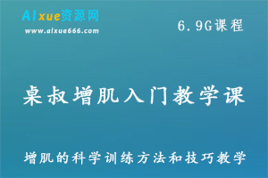 桌叔增肌入门教学课程科学健康的增肌方法和技巧课程，百度网盘资源打包下载-办公模板库