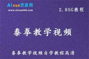 泰拳教学视频自学教程泰拳零基础入门训练搏击格斗术教学课程，2.85G网课资源百度网盘下载-办公模板库