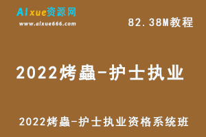 2022烤蟲-护士执业资格系统班,百度网盘资源打包下载-办公模板库