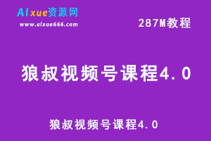 狼叔视频号课程4.0，教你怎样运营短视频获取流量教学课程-办公模板库