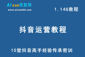 抖音运营教程 15堂抖音高手经验传承密训网课教学-办公模板库