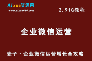 麦子·企业微信运营增长全攻略网课教程-办公模板库