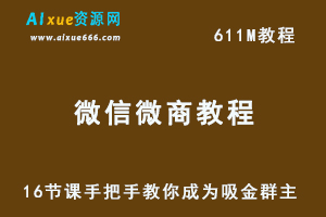 微信群赚钱法，16节课手把手教你成为吸金群主-办公模板库