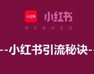 小红书增长训练营网课教程，21天小红书涨粉变现计划-办公模板库