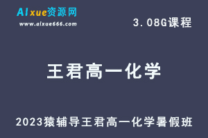 2023猿辅导王君高一化学视频教程暑假班-办公模板库