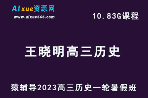 高中历史网课猿辅导2023王晓明高三历史一轮复习视频教程暑假班-办公模板库