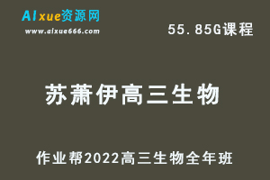 22年高考生物网课教程作业帮2022苏萧伊高三生物视频教程+讲义全年班（暑假+秋季+寒假+春季）-办公模板库