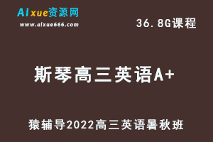 高中英语网课教程猿辅导2022斯琴高三英语A+班高考一轮视频教程+讲义（暑假班+秋季班）-办公模板库