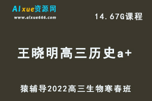 高中历史网课教程猿辅导2022王晓明高三历史a+班高考二三复习视频教程+讲义（寒假班+春季班）-办公模板库