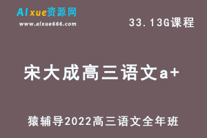 高中语文网课教程猿辅导2022宋大成高三语文a+班高考复习视频教程+讲义全年班（暑假班+秋季班+寒假班+春季班）-办公模板库