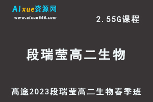 23年高中生物网课髙途2023段瑞莹高二生物春季班视频教程-办公模板库