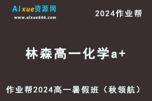 作业帮2024林森高一化学a+班暑假班课程-办公模板库