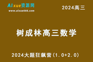 2024树成林高三数学大题狂飙营(1.0+2.0)-办公模板库