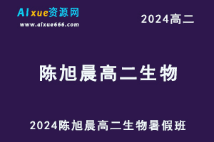 有道2024陈旭晨高二生物上学期暑假班视频教程-办公模板库