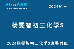 2024杨雯智初三化学S班视频教程+讲义暑假班-办公模板库