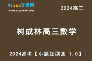 树成林2024高考数学【小题狂刷营 1.0】-办公模板库