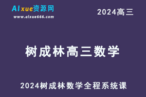 「2024树栋」树成林数学全程系统课-办公模板库