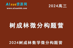 2024树成林数学微分构题营网课教程-办公模板库