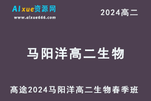 马阳洋高二生物网课髙途2024马阳洋高二生物春季班-办公模板库