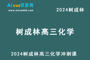 2024树成林高三化学冲刺课-办公模板库