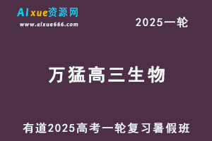 有道2025万猛高三生物一轮复习视频教程暑假班-办公模板库