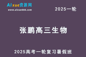 2025张鹏高三生物一轮复习网课教程暑假班-办公模板库