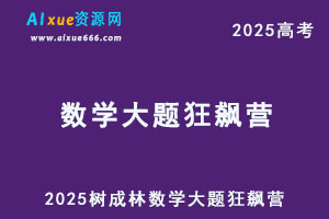 2025树成林数学大题狂飙营-办公模板库