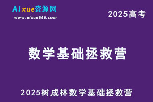 2025树成林数学基础拯救营-办公模板库