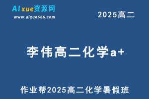 作业帮2025李伟高二化学a+暑假班网课教程-办公模板库