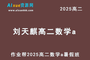 作业帮2025刘天麒高二数学a暑假班网课教程-办公模板库