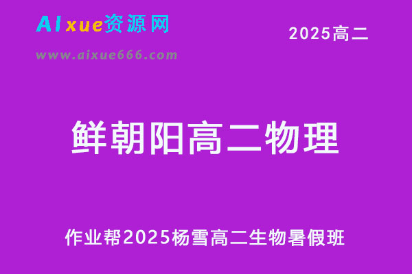 作业帮2025鲜朝阳高二物理暑假班视频教程+课堂笔记-办公模板库