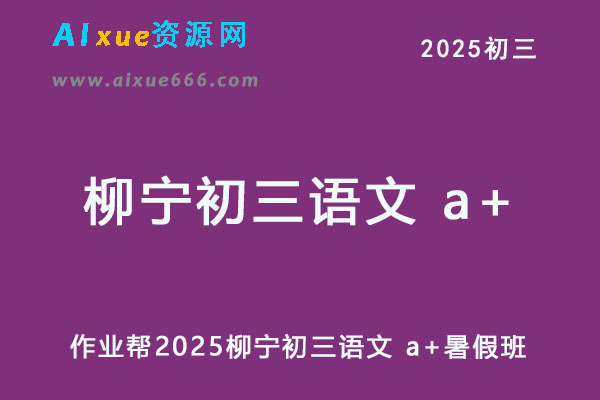 作业帮2025柳宁初三语文 a+暑假班网课教程-办公模板库