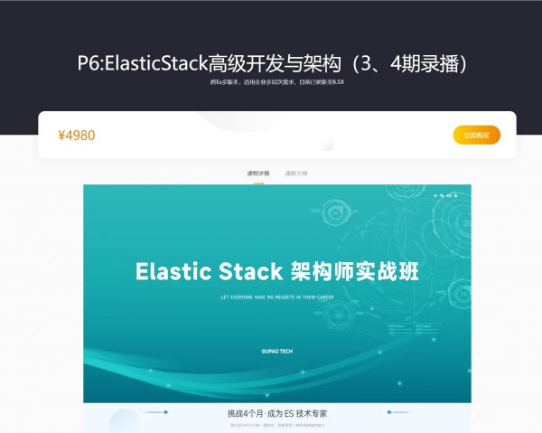 P6:ElasticStack高级开发与架构，Elastic Stack数据库视频教程+资料(65G)-办公模板库