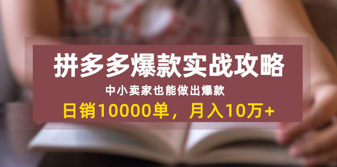 拼多多爆款实战攻略：中小卖家也能做出爆款-办公模板库