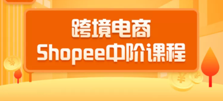 千鸟跨境：跨境电商蓝海新机会-shopee中阶课程(价值3900)-办公模板库