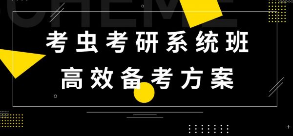 白纯洁老师2021考研政治系统班 考虫高效备考方案导学/基础/强化-办公模板库