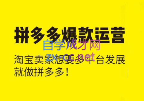 猫课·拼多多爆款运营课程【更新2023年】，价值3980元-办公模板库