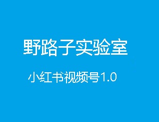 野路子实验室：小红书视频号1.0(无水印)-办公模板库