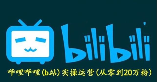 义乌之狼：哔哩实操运营项目,百度网盘免费下载-办公模板库